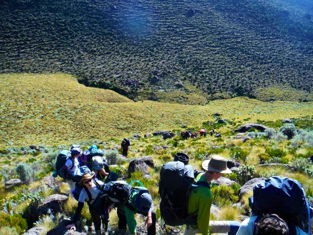 mt kenya