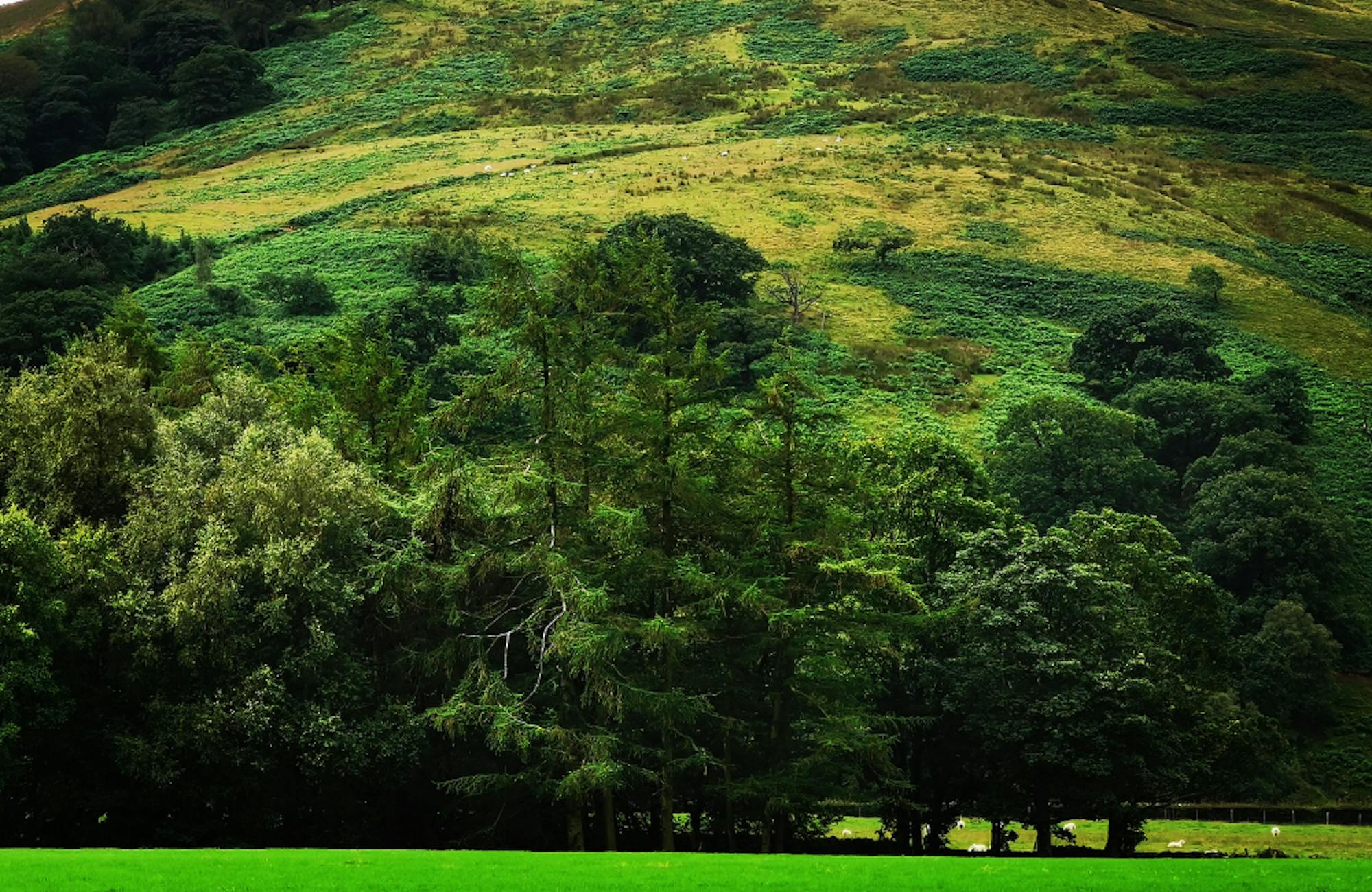Clougha Pike - Forest of Bowland