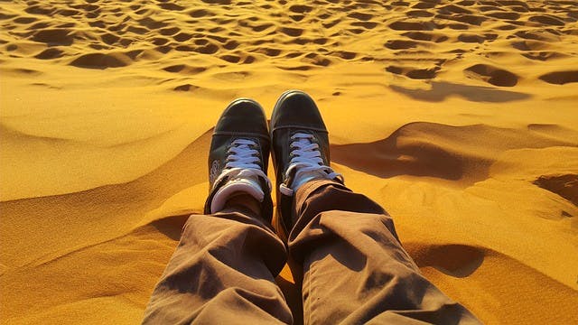 shoes deserrt