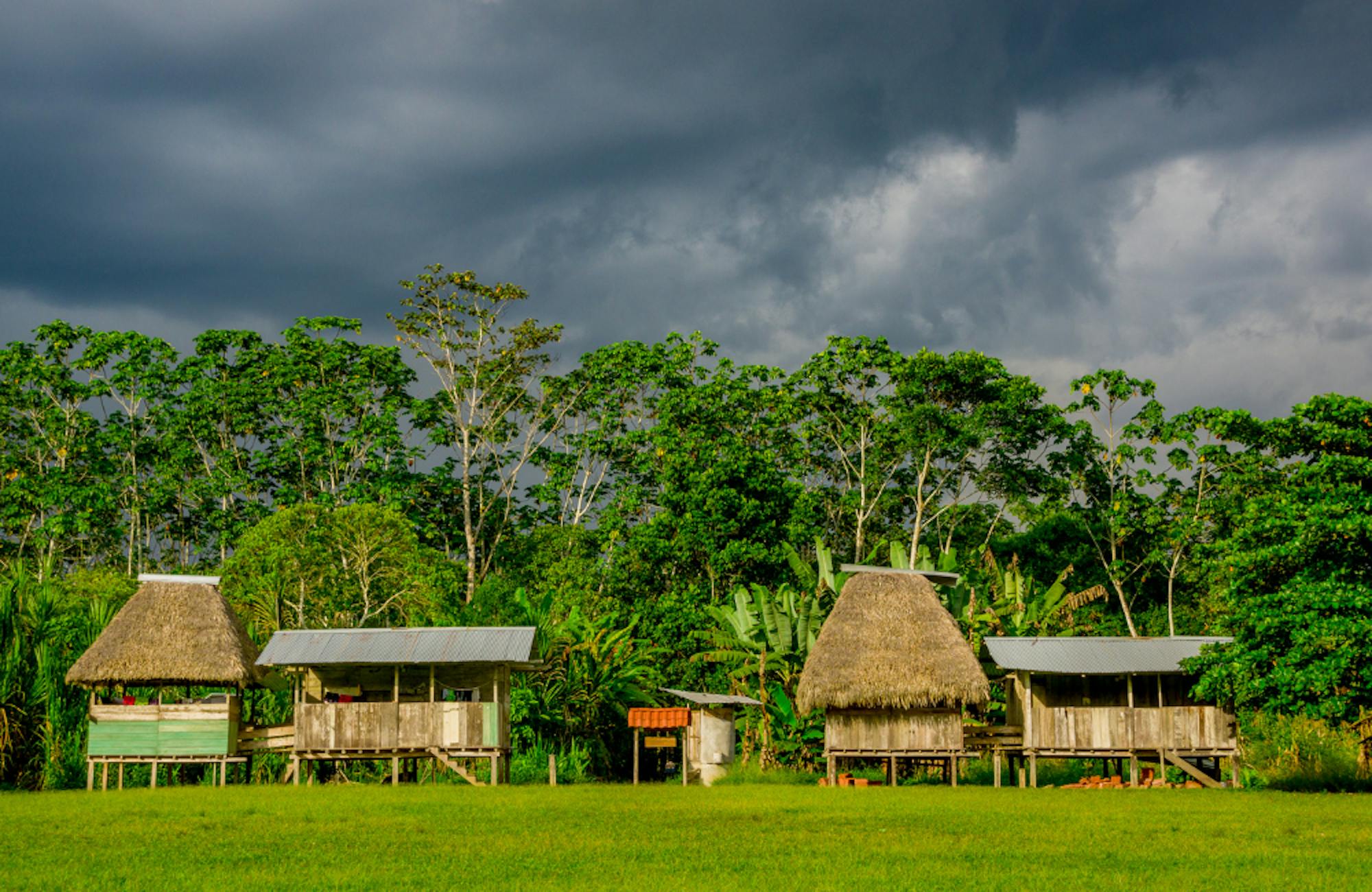 Yasuni National Park