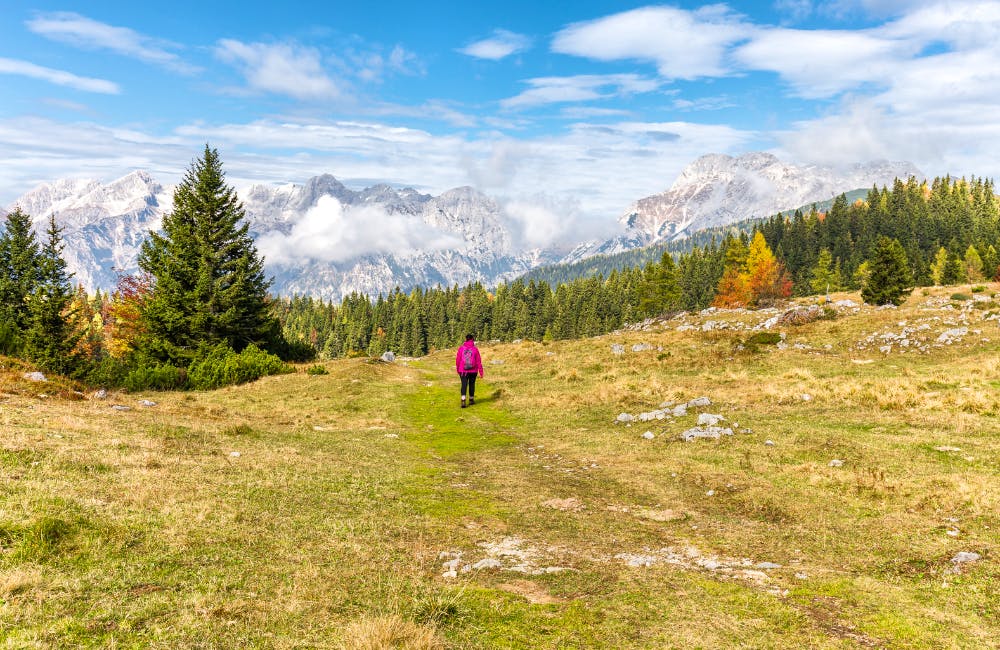 Velika Planina