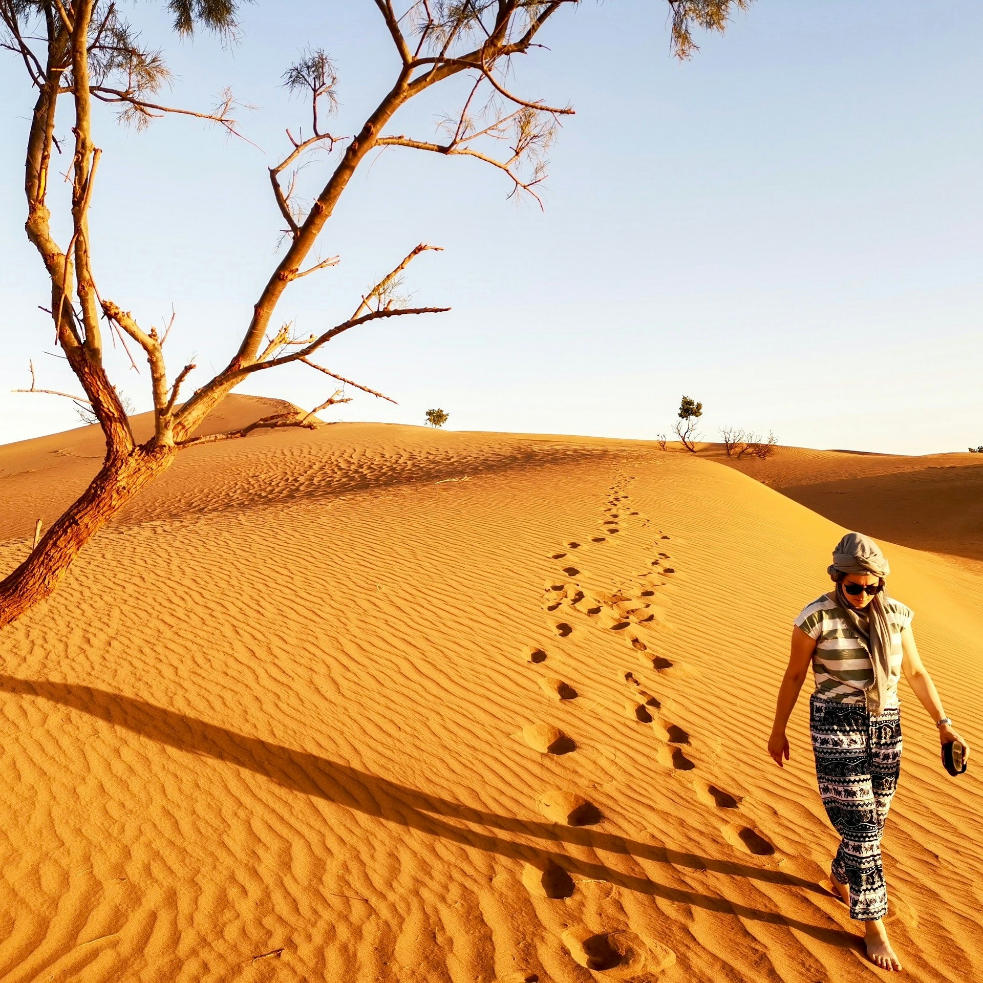 trekking in the sahara
