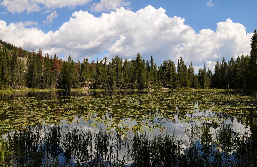 Nymph Lake