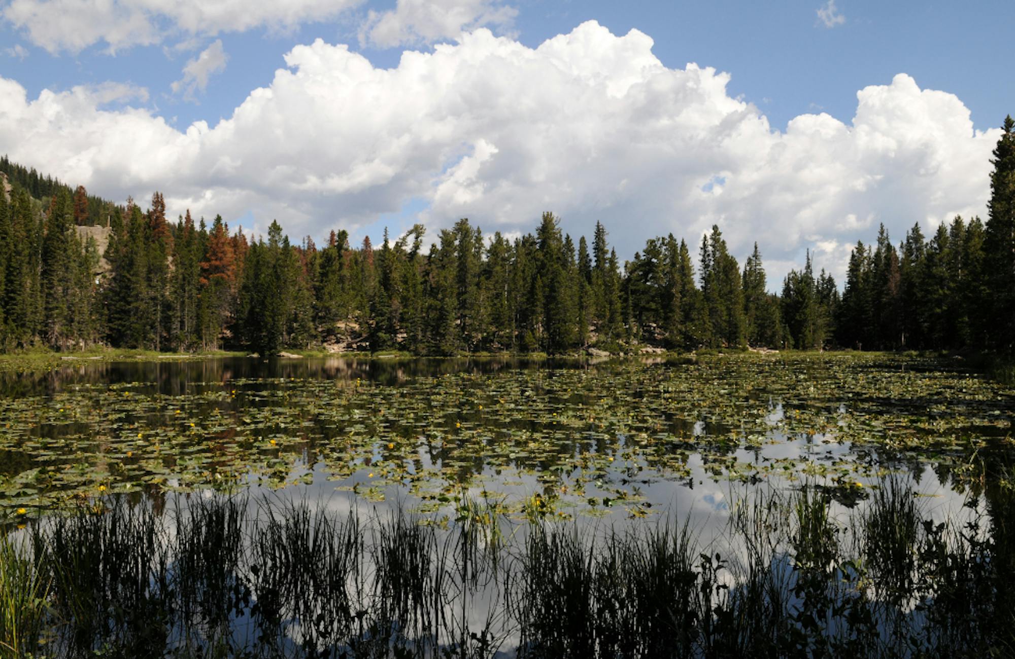 Nymph Lake