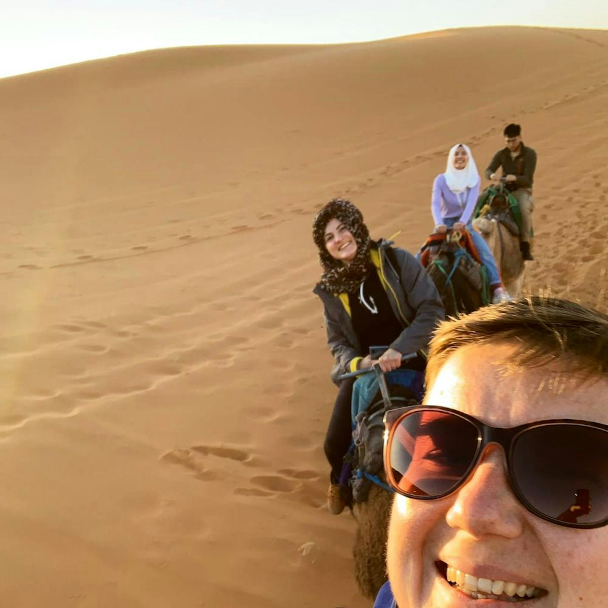 camels sahara morocco