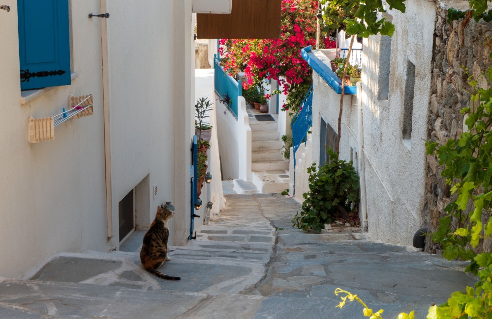 Naxos Village