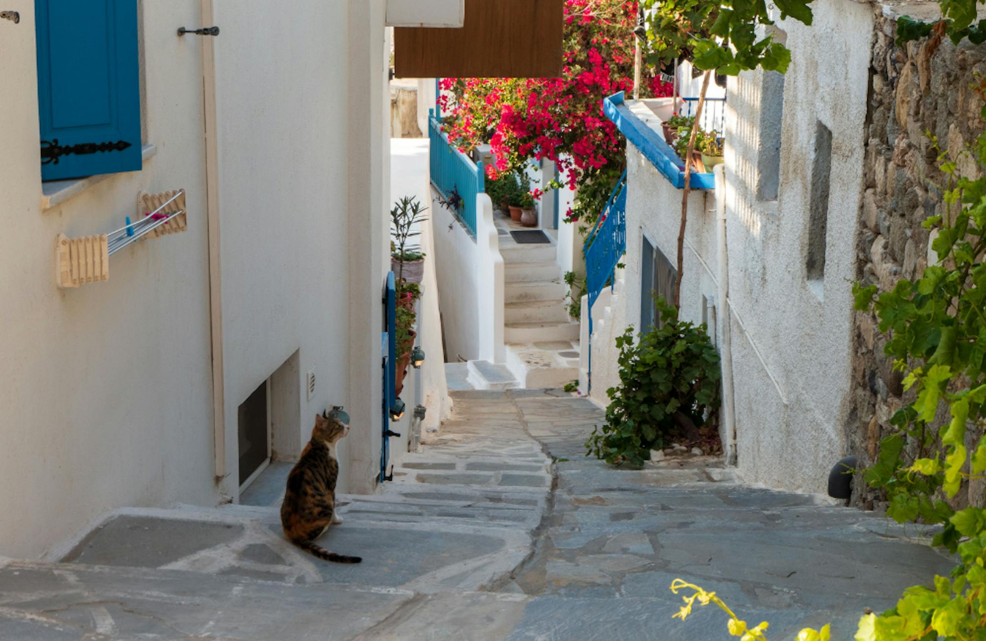 Naxos Village