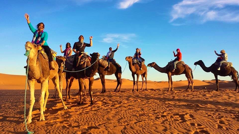 camel trekking in the Sahara