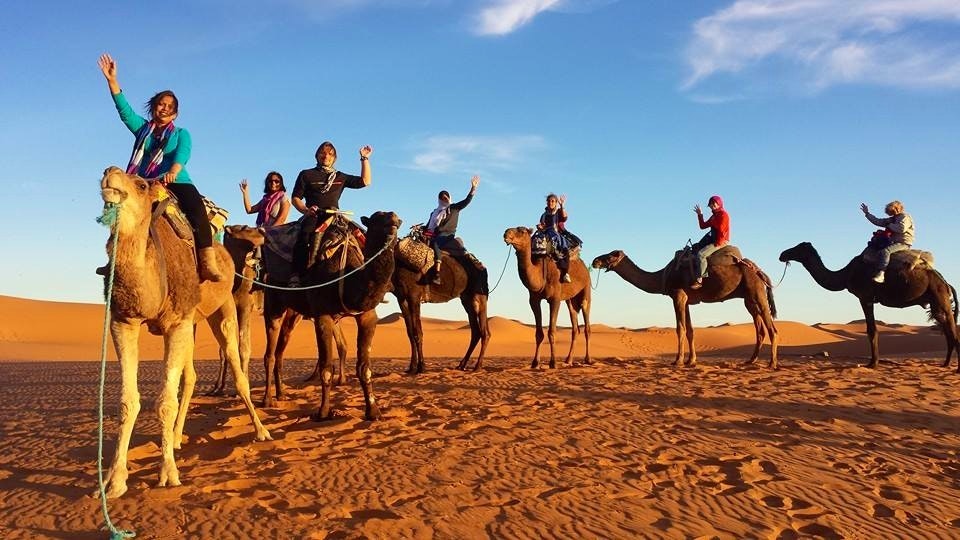 camel trekking in the Sahara