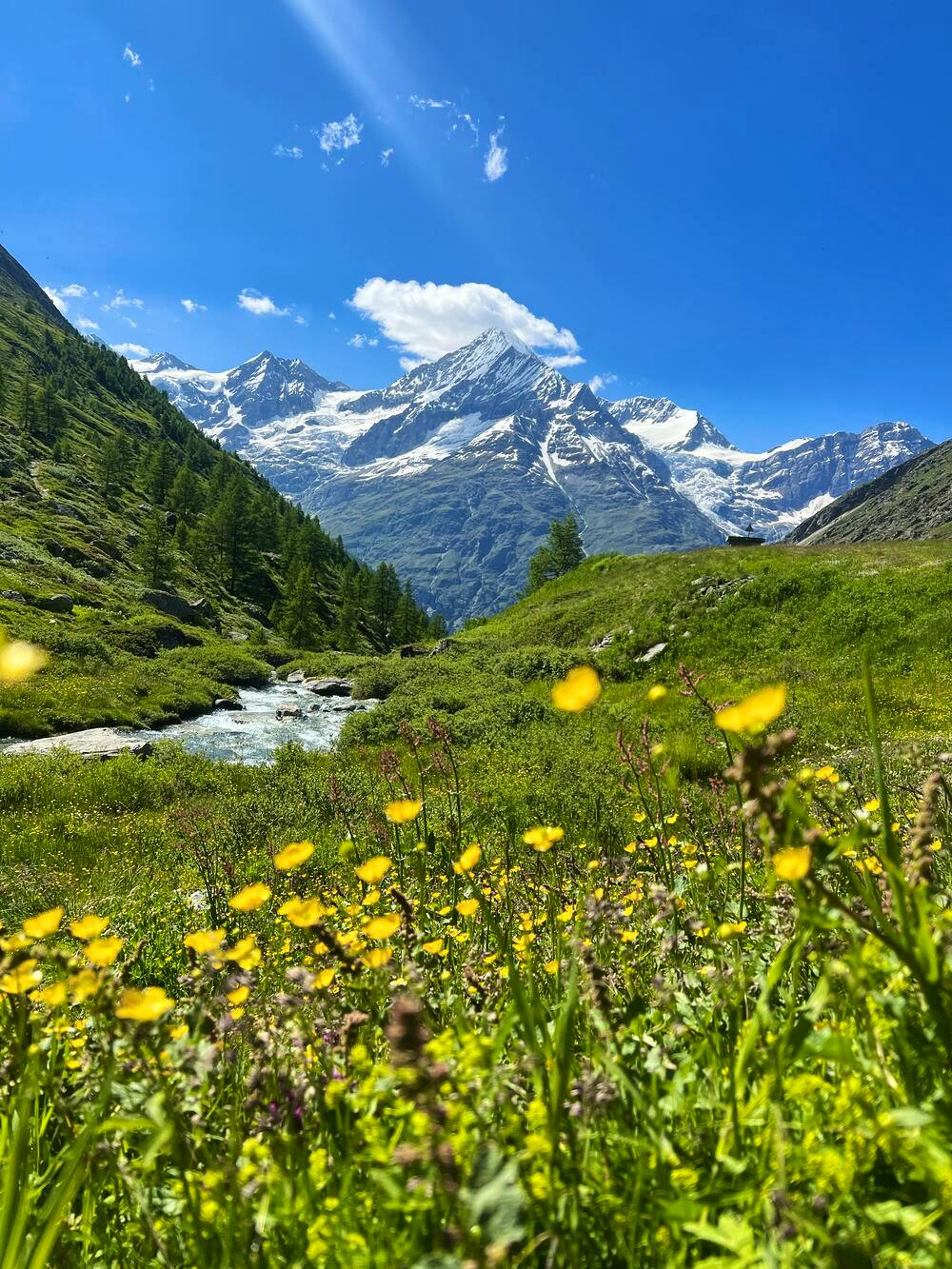 Summery hiking trails in Switzerland