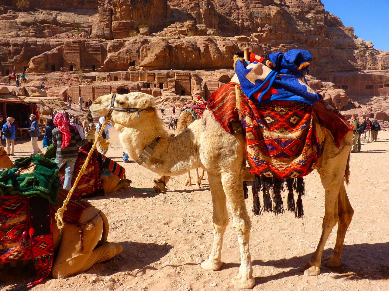 pixabay-loggawiggler-petra