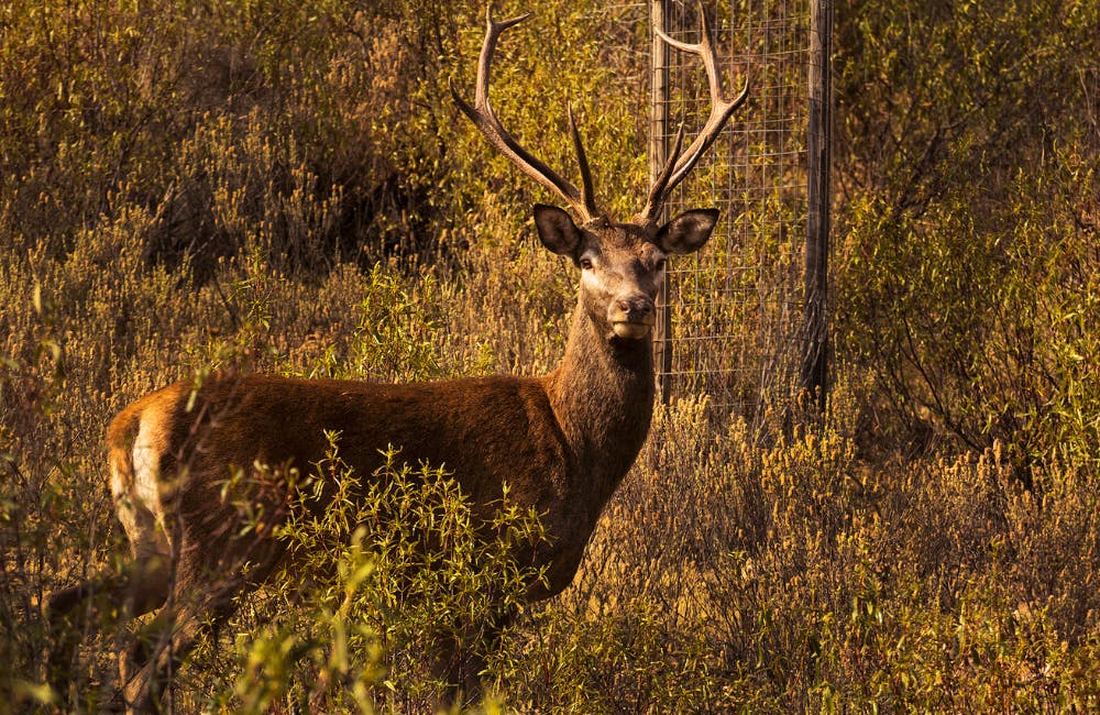 Monfragüe National Park