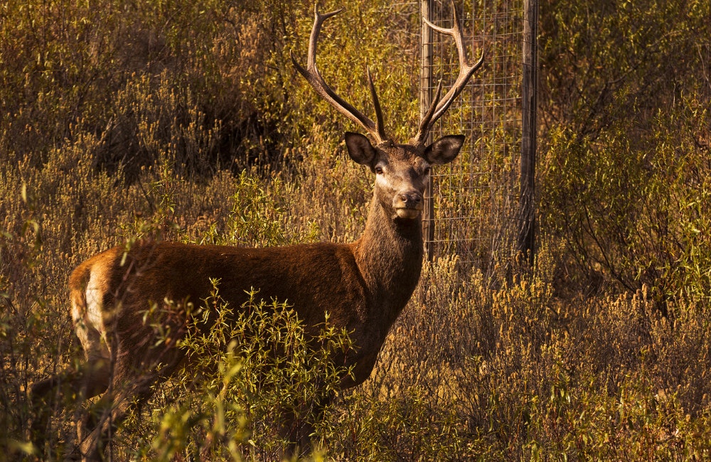 Monfragüe National Park