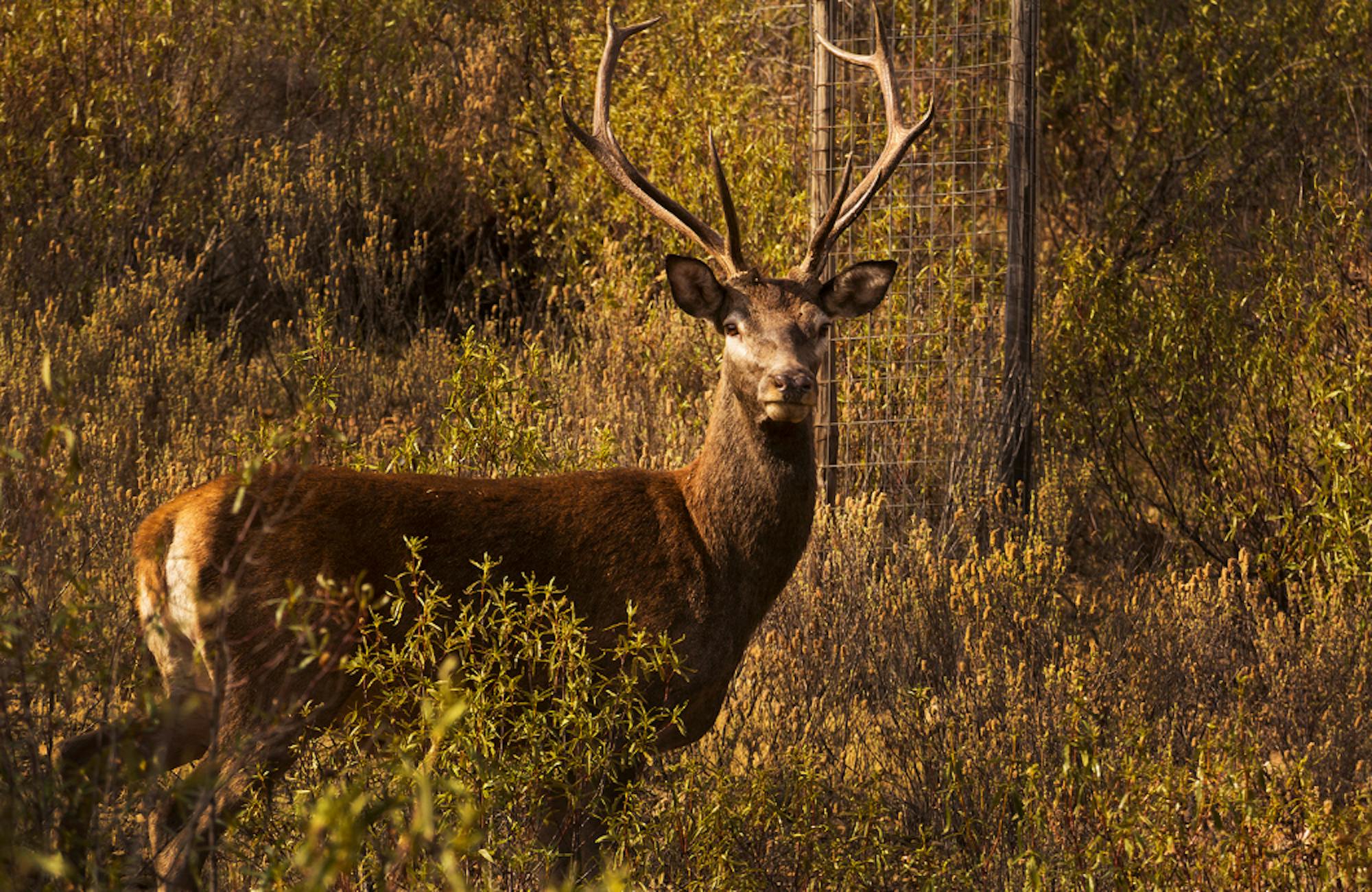 Monfragüe National Park