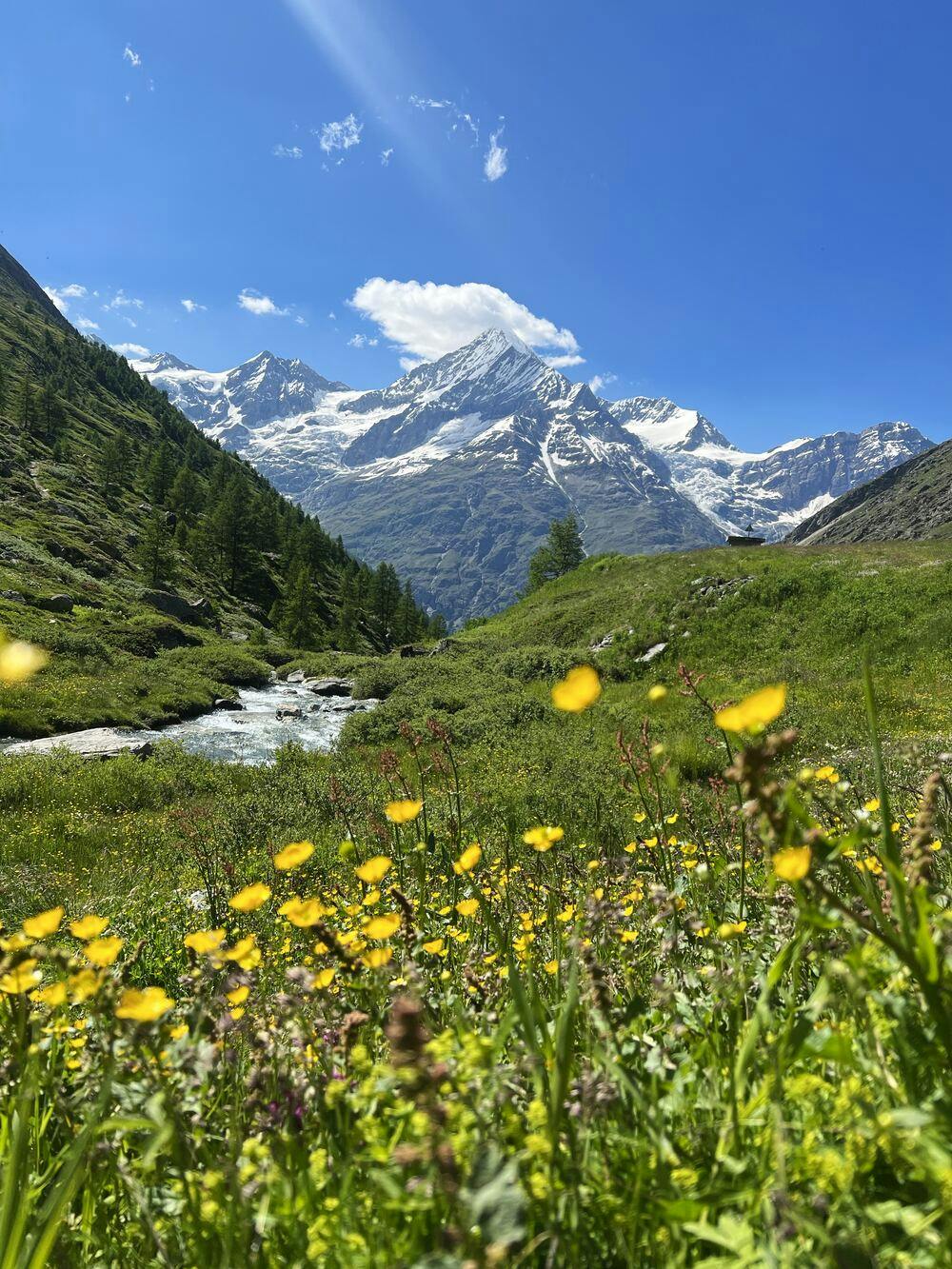Summery hiking trails in Switzerland