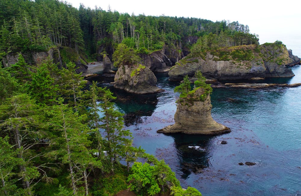 Cape Flattery Hike