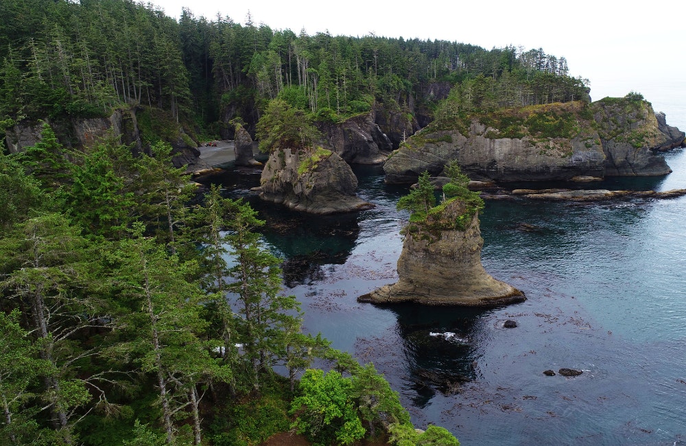 Cape Flattery Hike