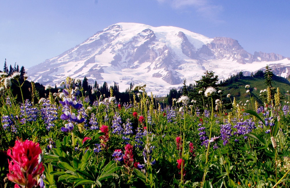 Mount Rainier Summit