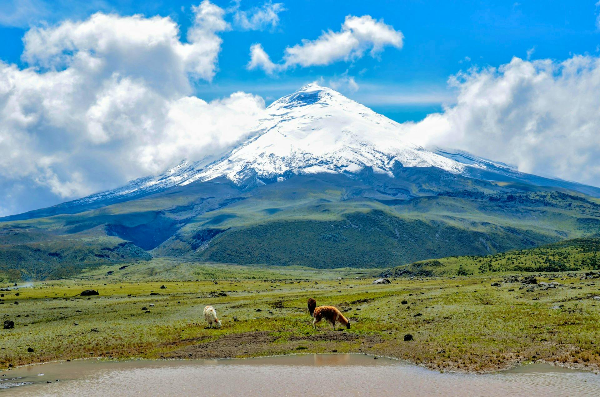 Ecuador adventure tours