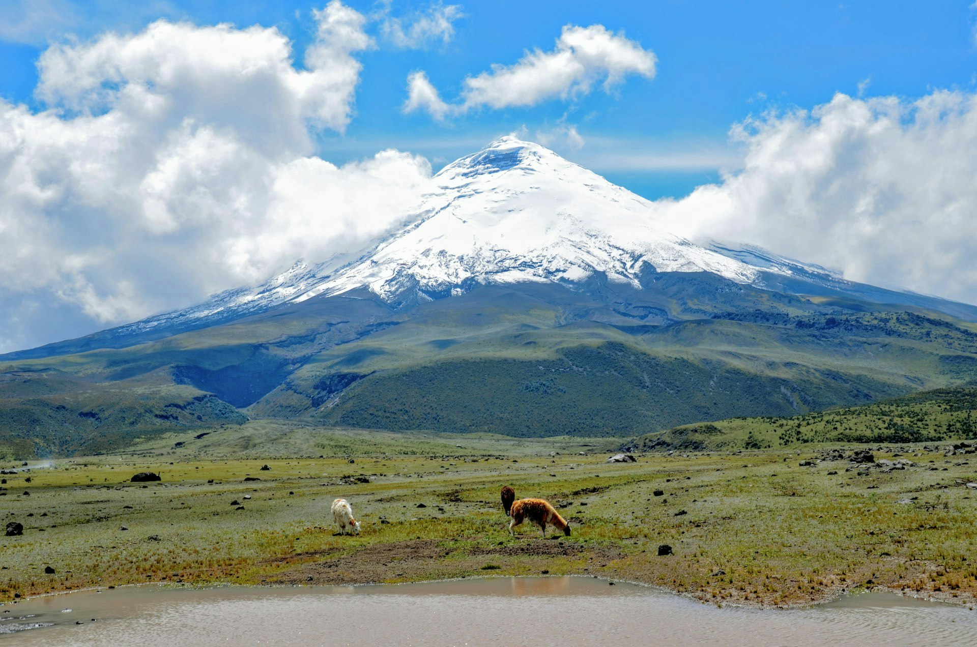 Ecuador adventure tours