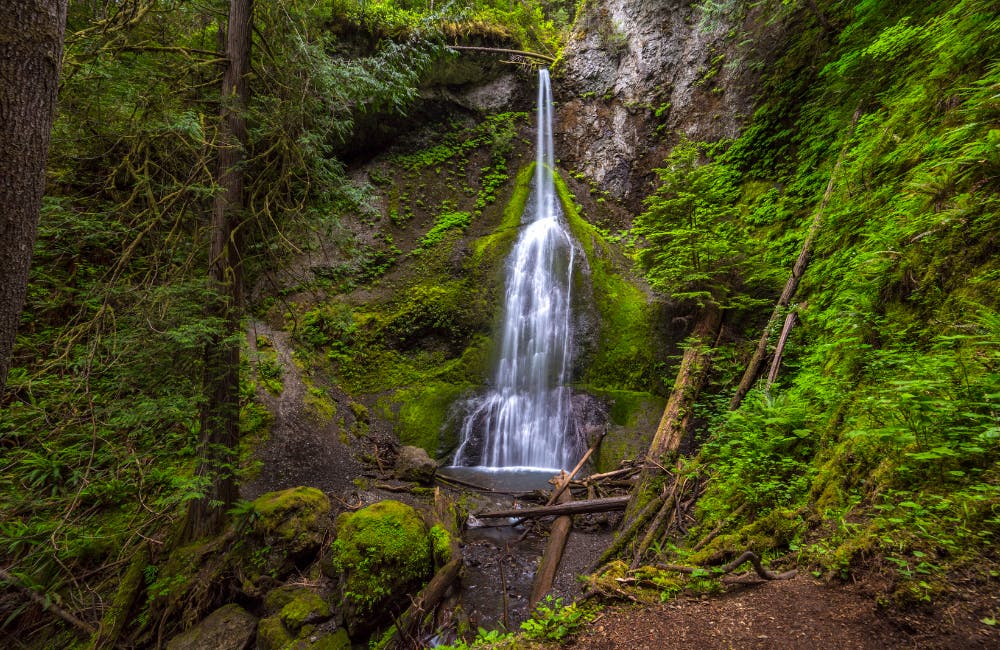 Marymere Falls Trail