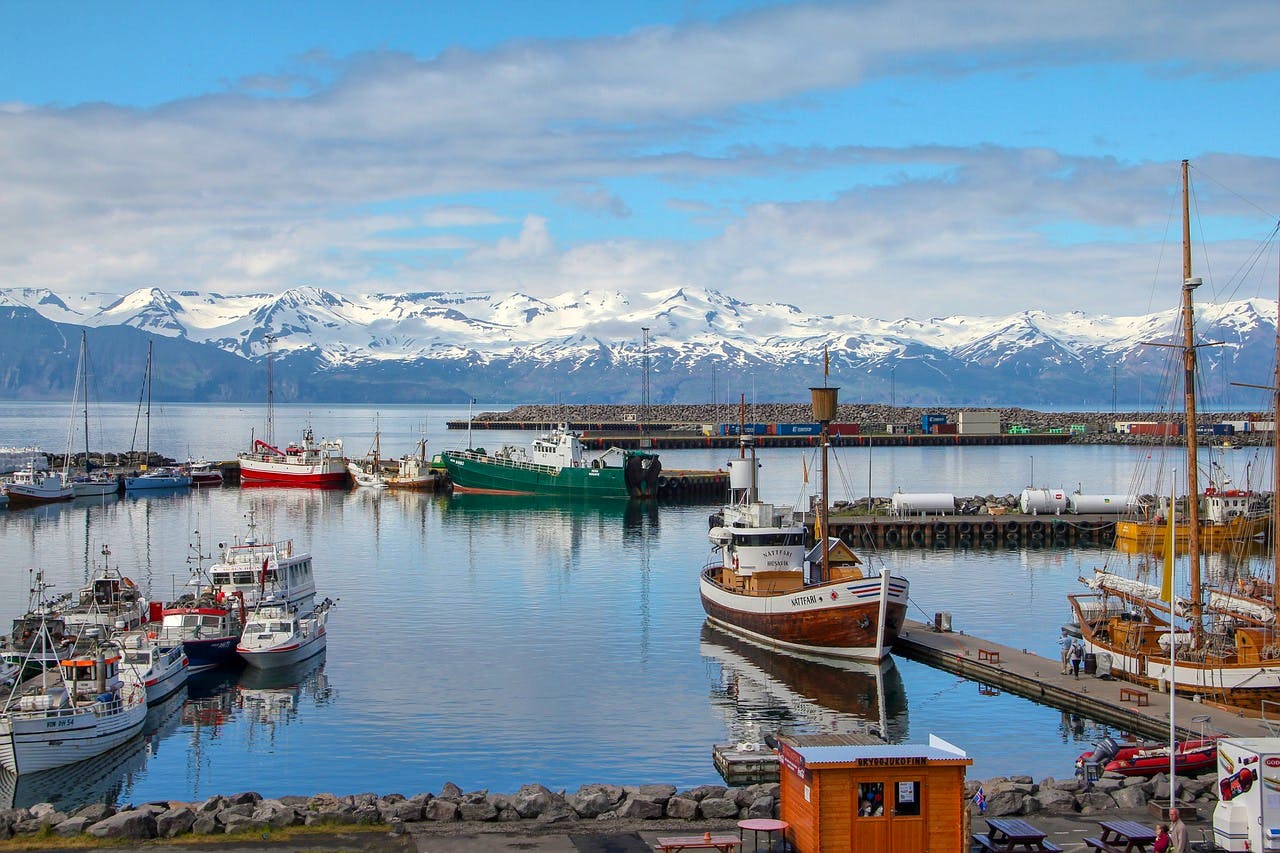 Iceland docks