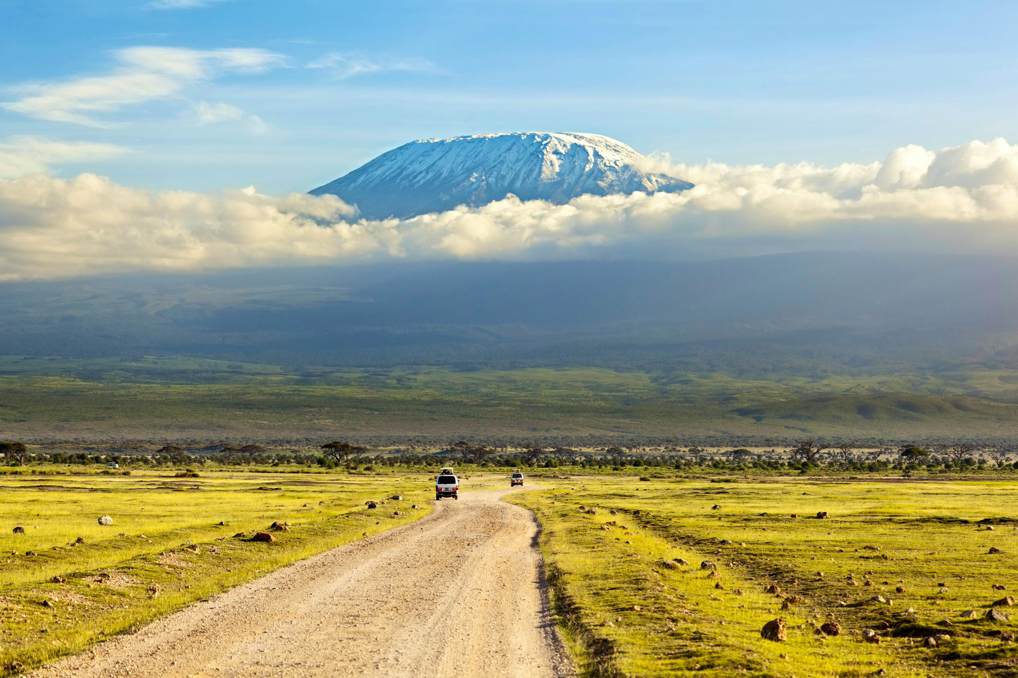 Kilimanjaro