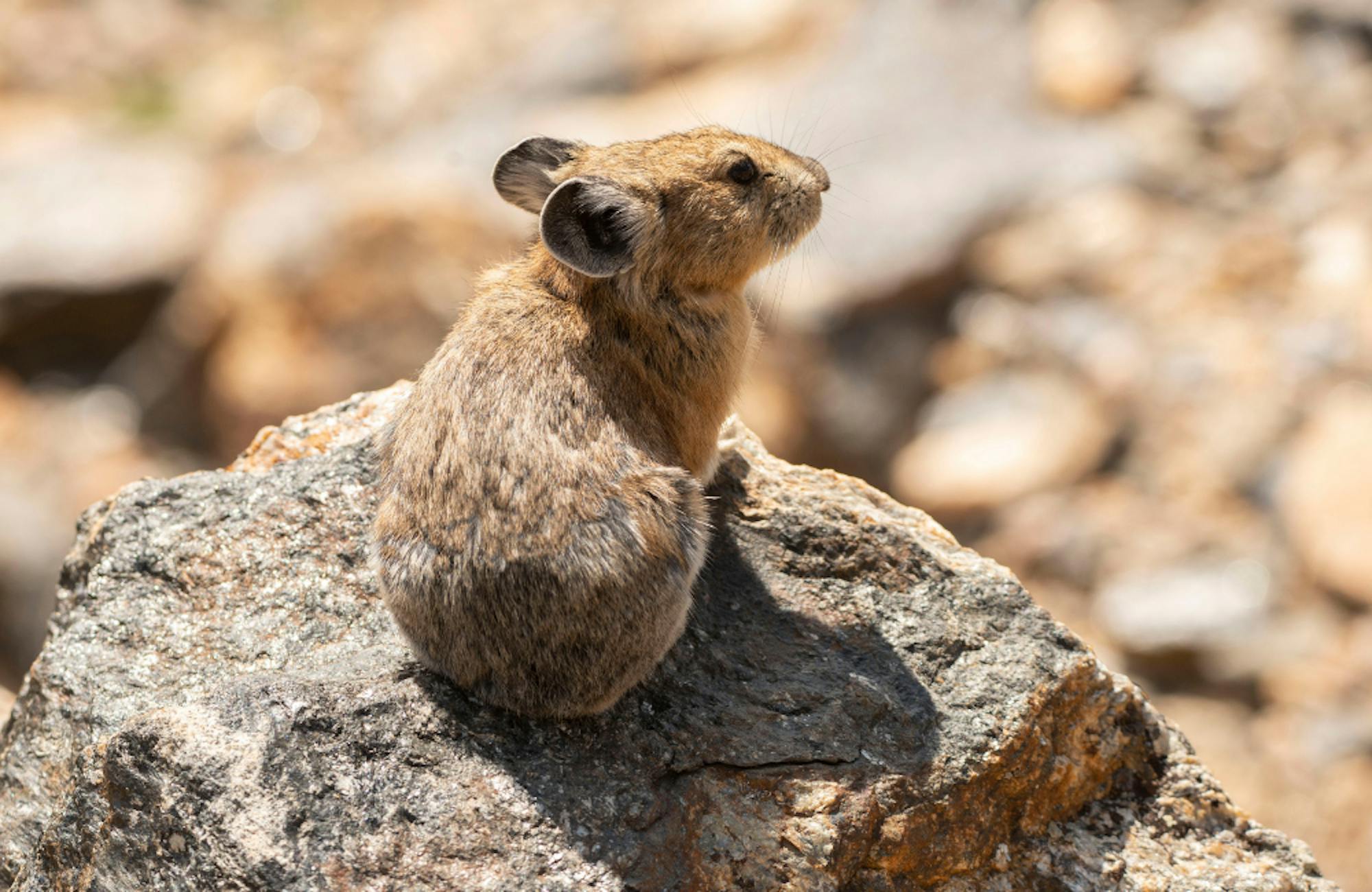 5. Protect the Delicate Ecosystems