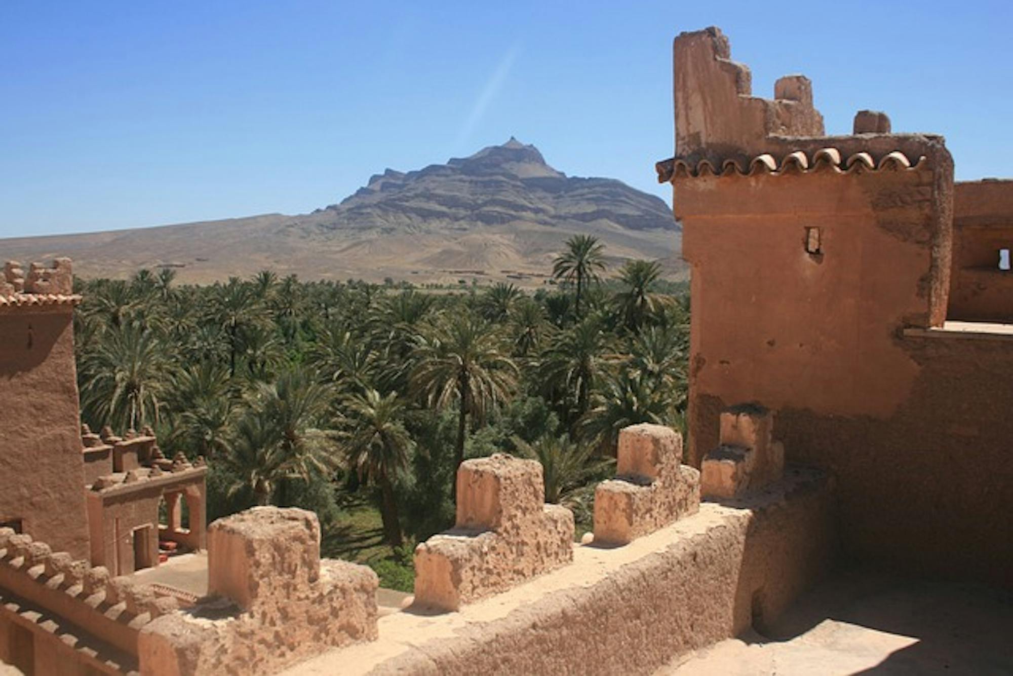 desert oasis morocco