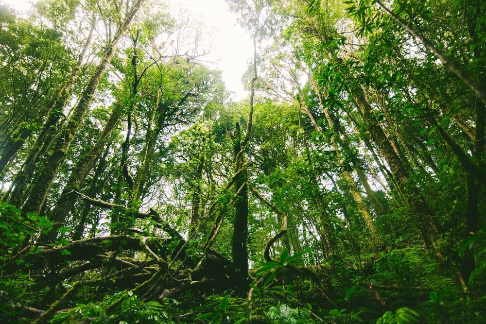 8 day salkantay trek