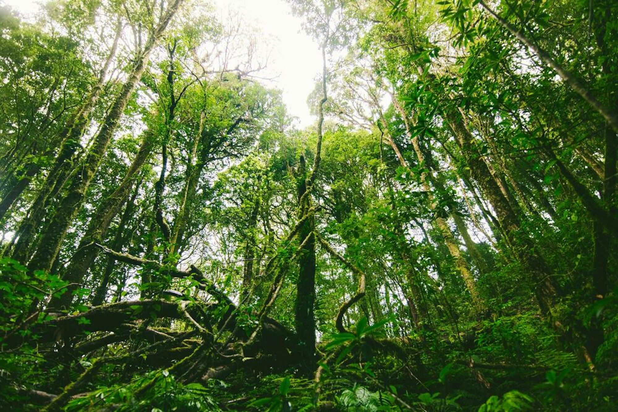 8 day salkantay trek