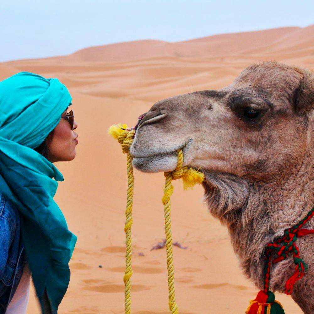 camel trekking morocco sahara