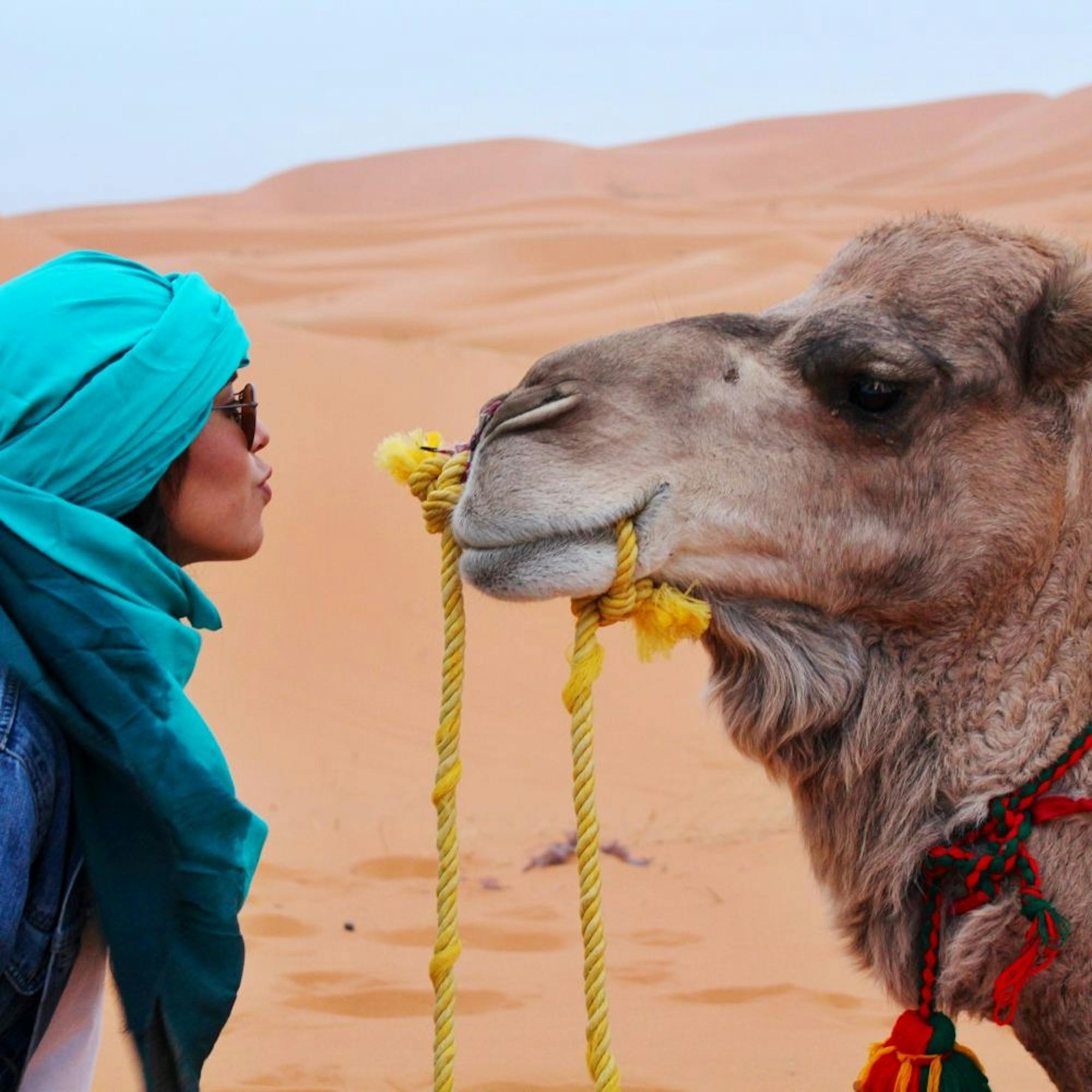 camel trekking morocco sahara