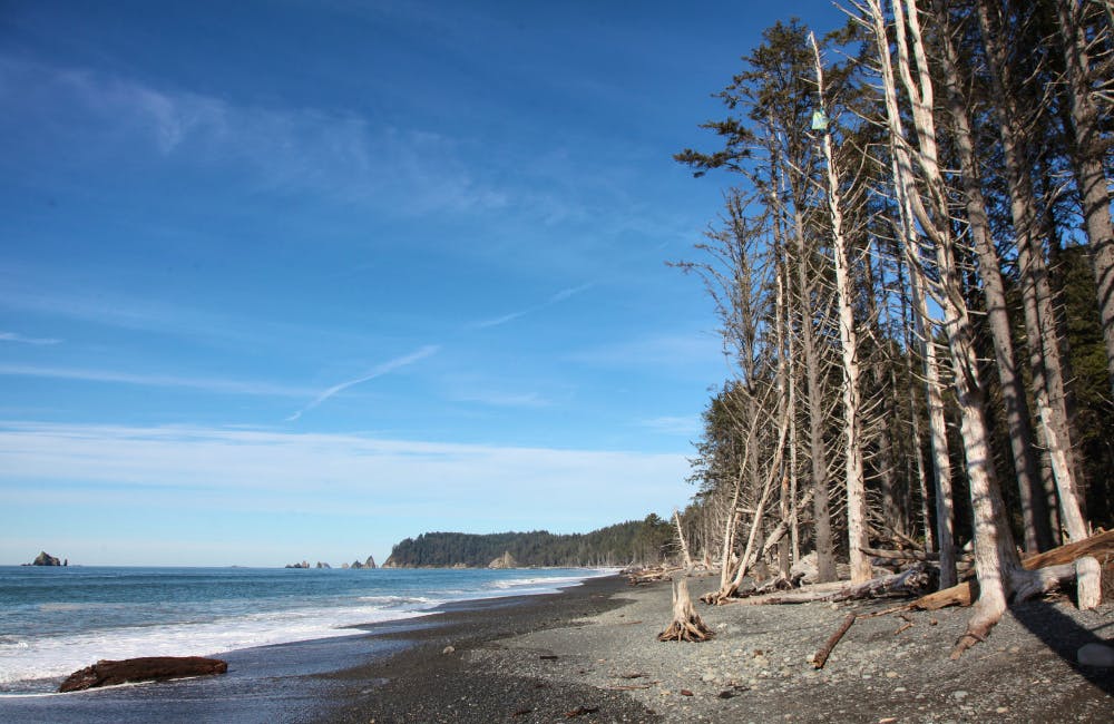 Rialto Beach Coastal Hike