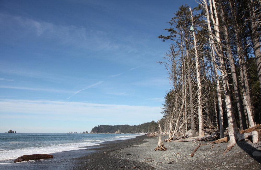 Rialto Beach Coastal Hike