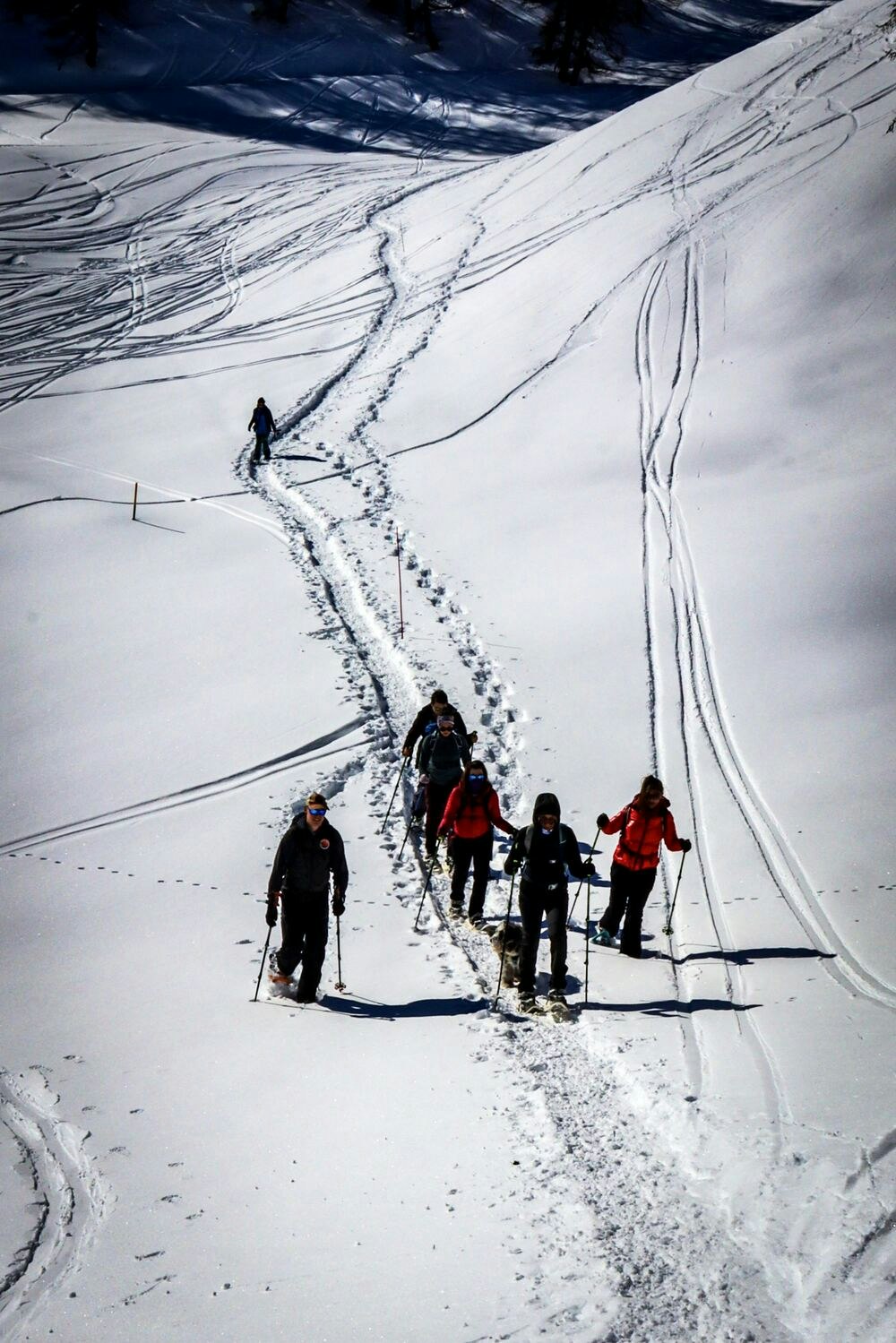 snowy hiking trails in switzerland
