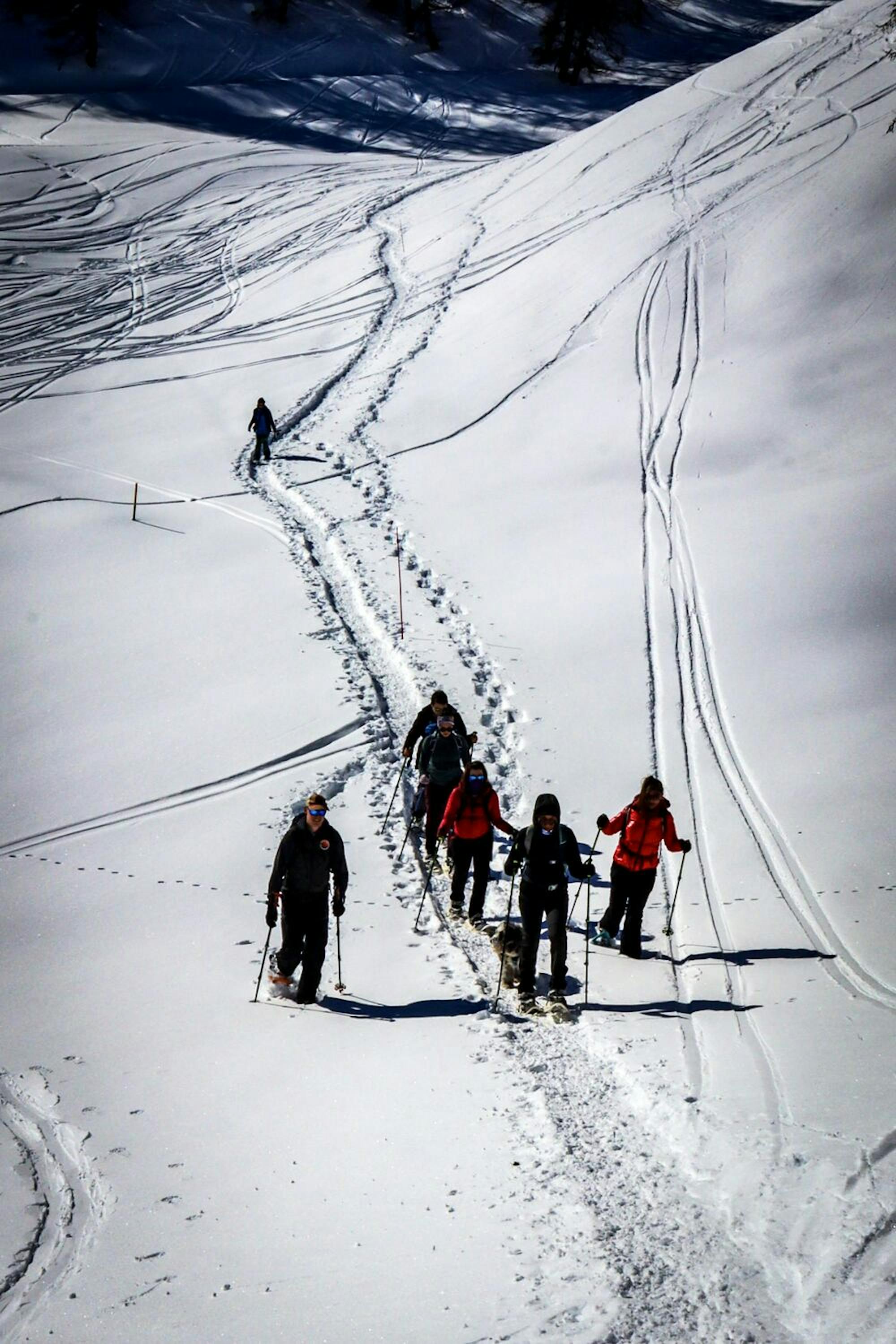 snowy hiking trails in switzerland