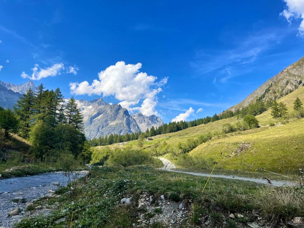 Tour du mont blanc