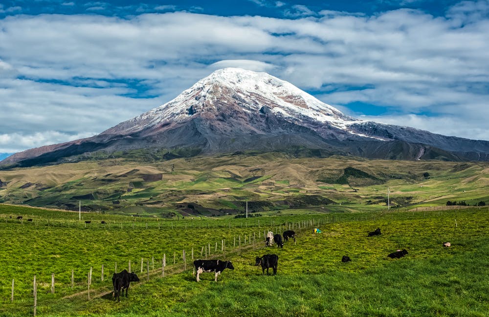 Chimborazo