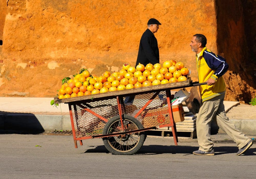 grapefruit morocco