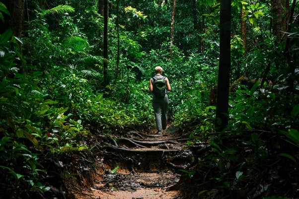 inca jungle trek hiking