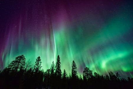 Northern Lights Over Noregian Forest