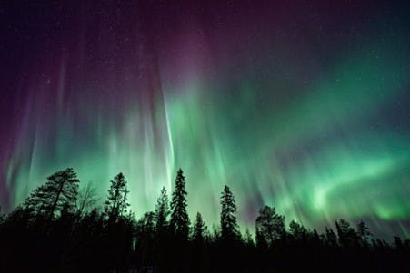 Northern Lights Over Noregian Forest