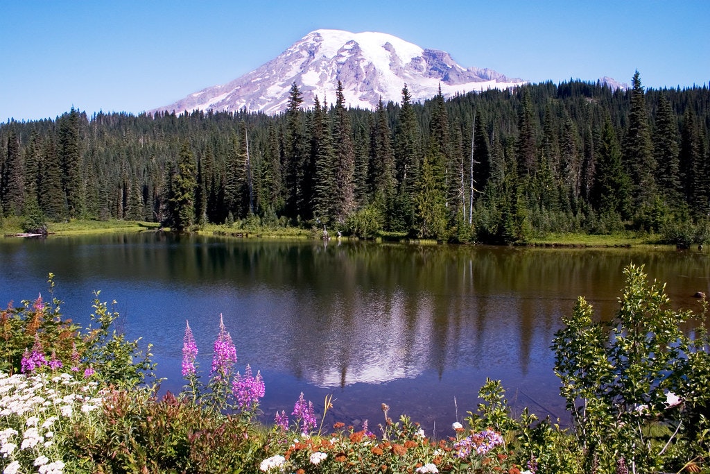flickr-us-forest-service-mt-rainier