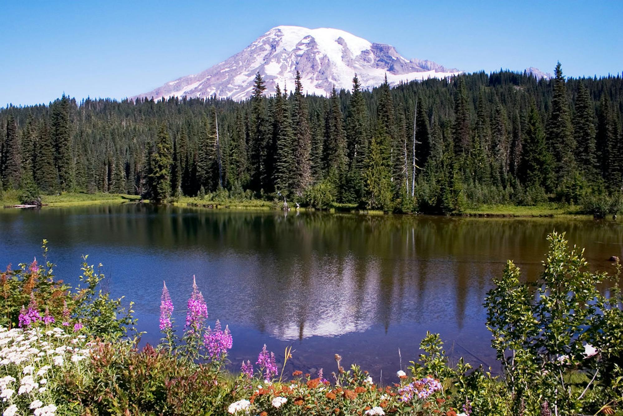 flickr-us-forest-service-mt-rainier