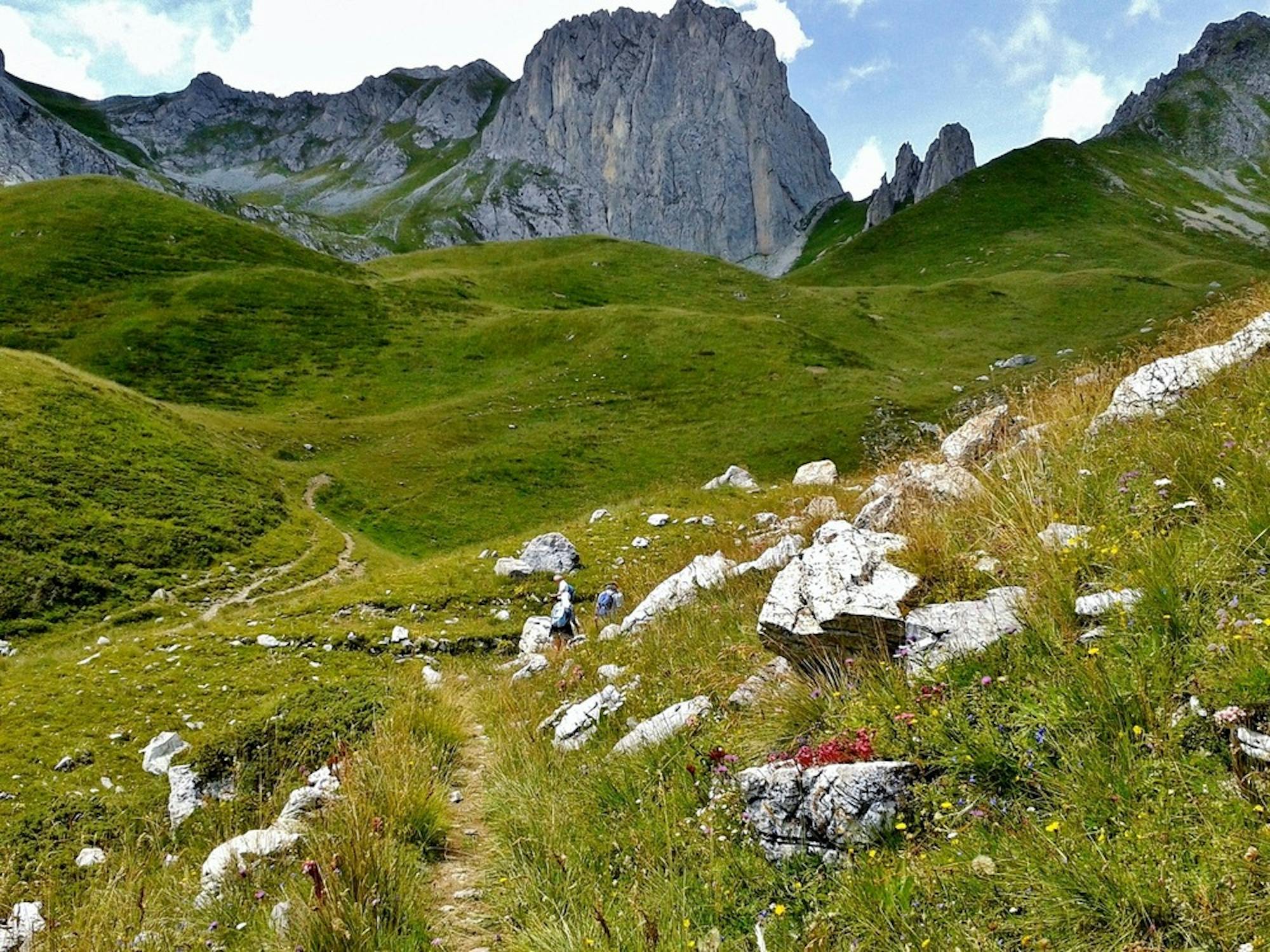 Val Maira, sentiero dei fiori (wikimedia commons)
