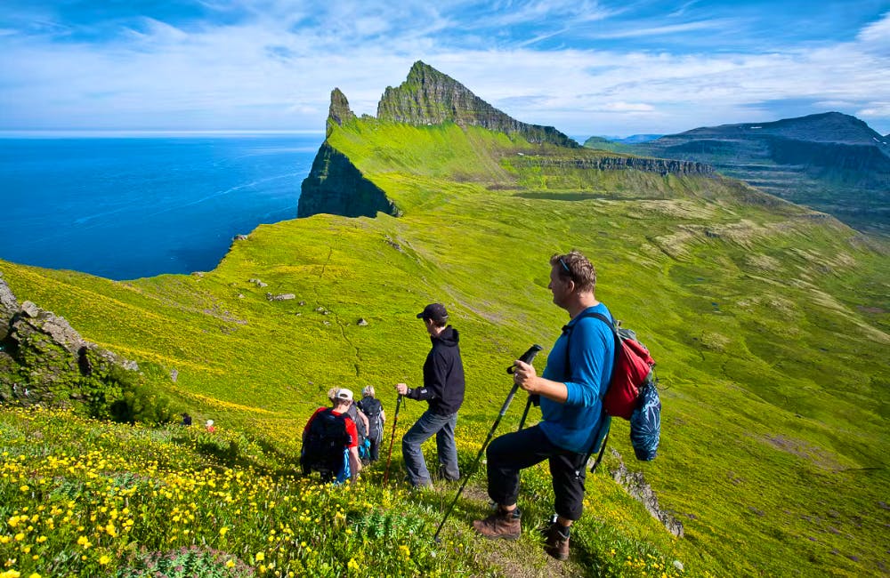 Hornstrandir iceland