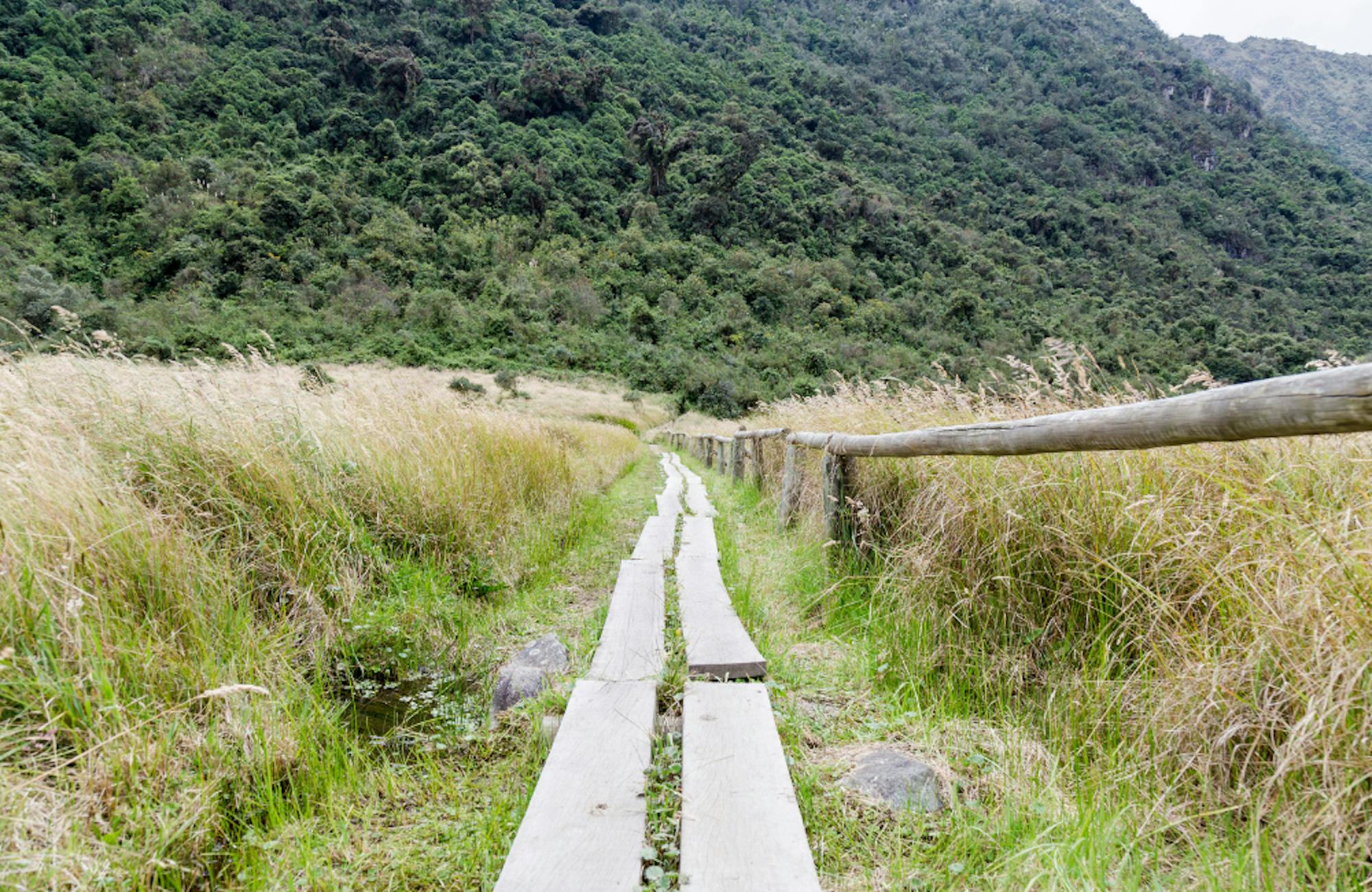 Cajas National Park