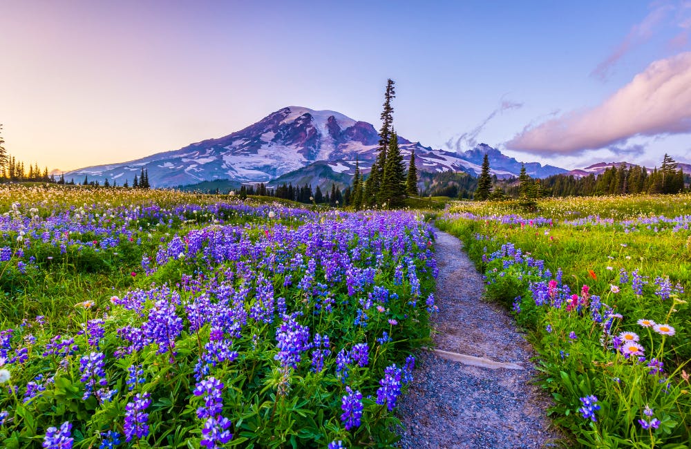 The Lakes Trail Loop