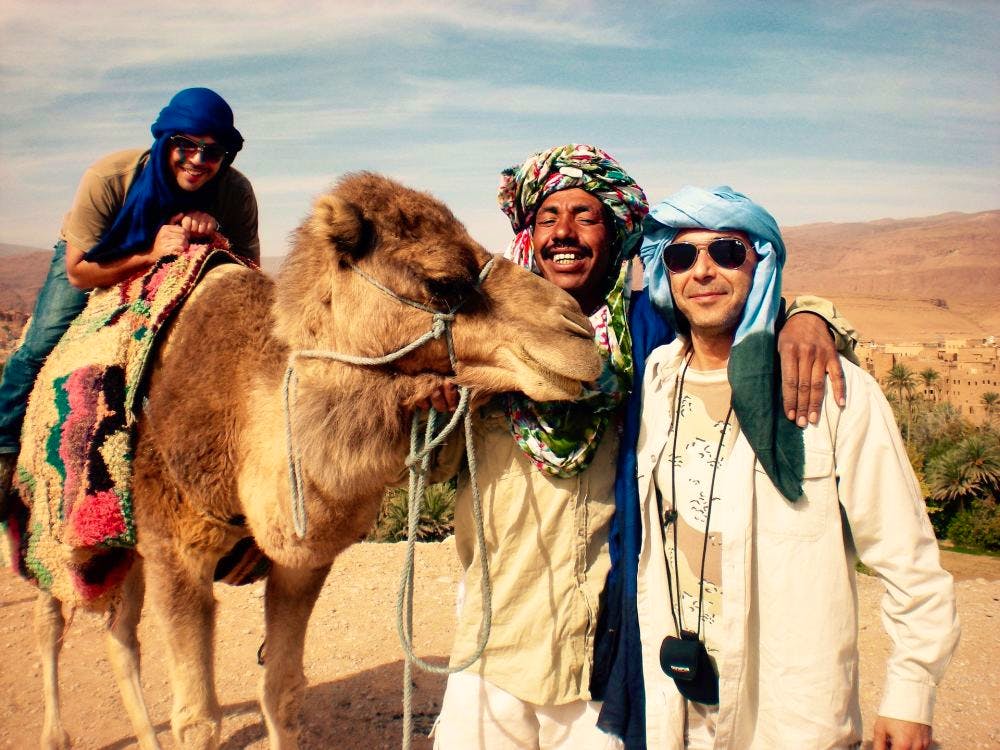 camel morocco desert